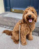 Chai Latte standard / Justerbar og blød rebsnor (beige)