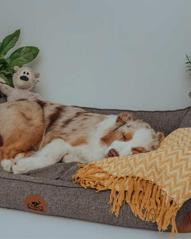 Swaggin Tails Drömmig hundeseng - Cloudy White