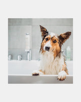 Greenfields 2 i 1 shampoo og balsam til hunde - 270ml
