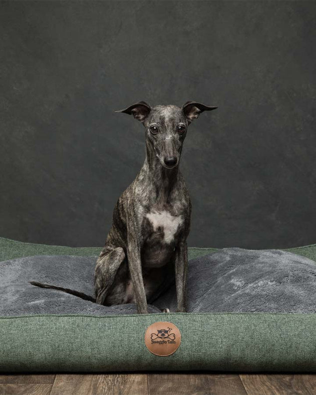 Swaggin Tails Sömnig hundeseng - Forest Green