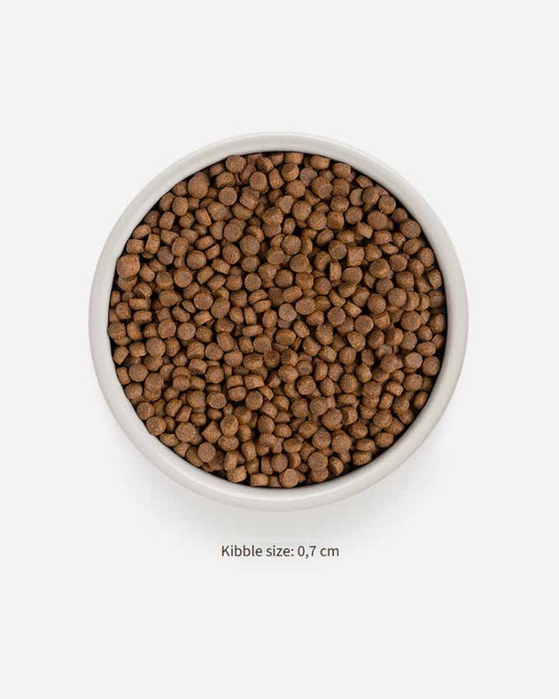 Grandorf Cat Adult Indoor 4 Meat - Kalkun, Lam, And og Vildsvinekød - 2Kg