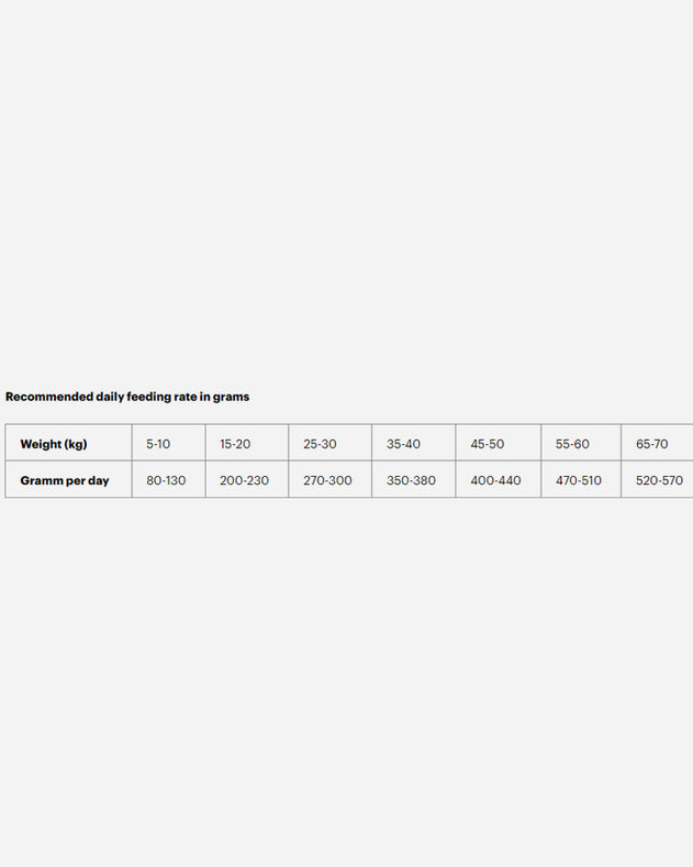 Grandorf Adult - Hvid Fisk - 10kg - Grandorf - Petlux