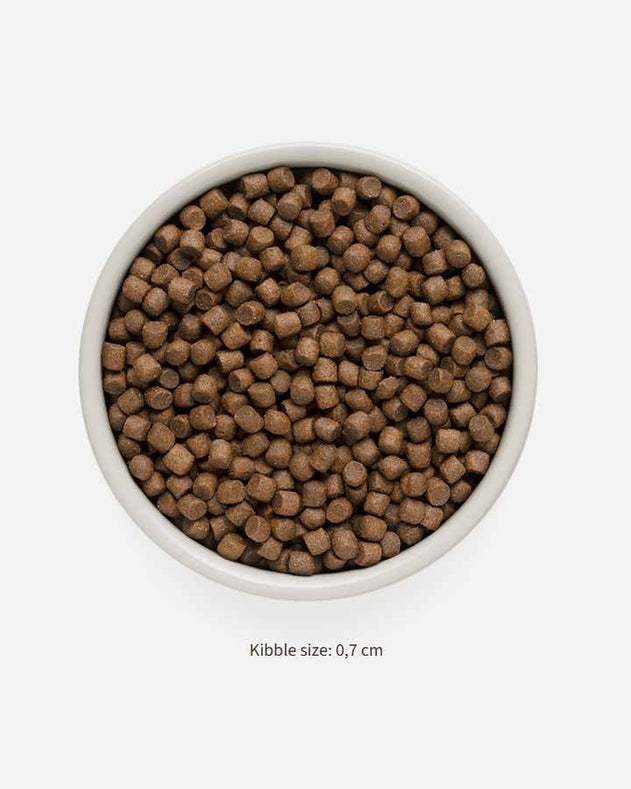 Grandorf Adult Mini - Kalkun - 3kg