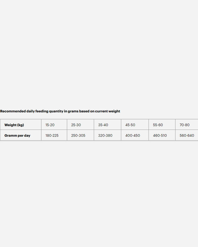 Grandorf Adult Maxi - Lam og Kalkun - 10kg - Grandorf - Petlux