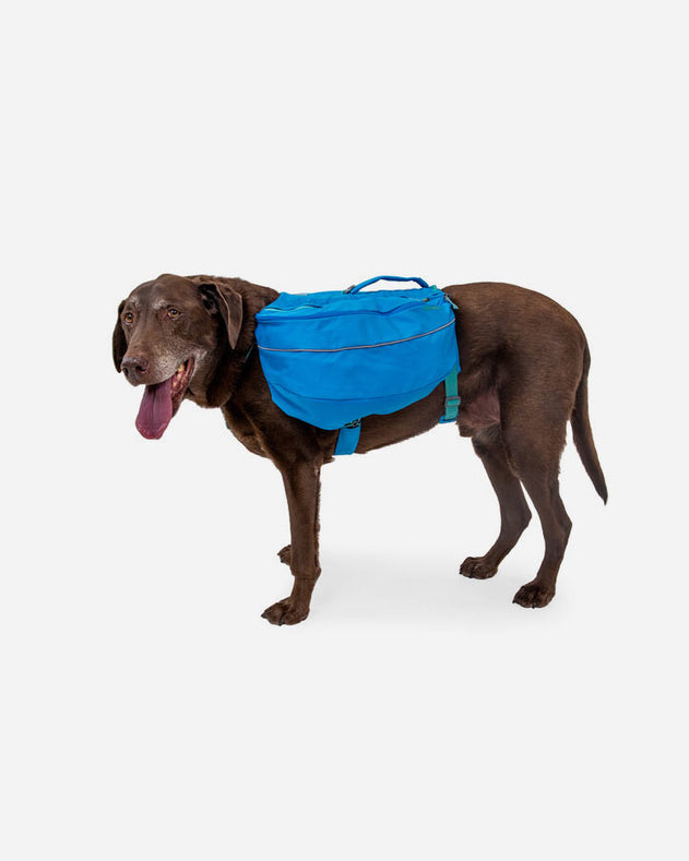 Rygsæk til hund - Ruffwear Approach