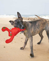 Kong Belly Flops Hummer