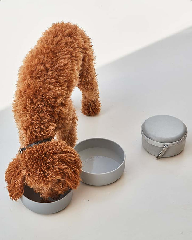3 i 1 foder og vand skål til hund.