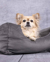 Hundeseng Celeste - Dark Grey