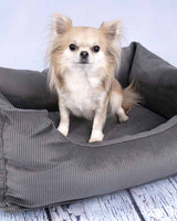 Hundeseng Celeste - Dark Grey