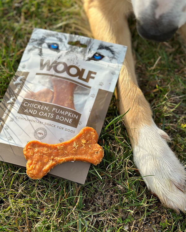 Woolf Chicken Pumpkin & Oats Bone - Kylling - græs - Woolf - Petlux