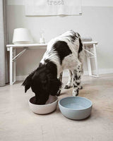 District 70 Bamboo Hundeskål