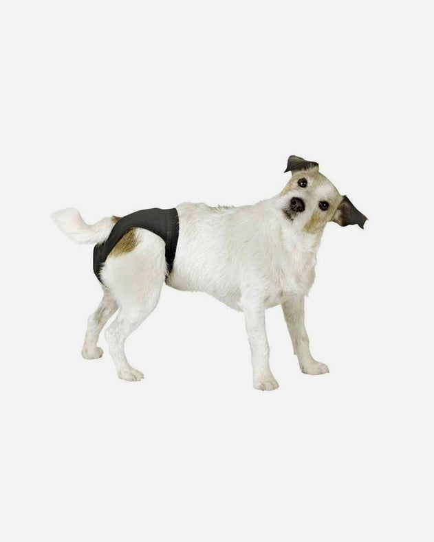 Løbetidstrusser til hund