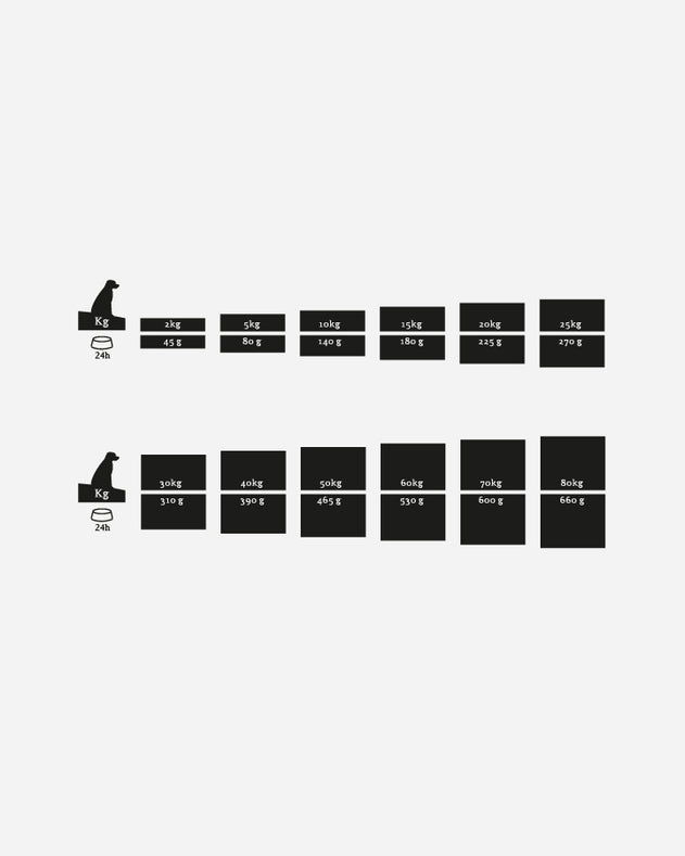 Essential Stamina - 10 kg - Kylling - And - Laks - - Essential Foods - Petlux