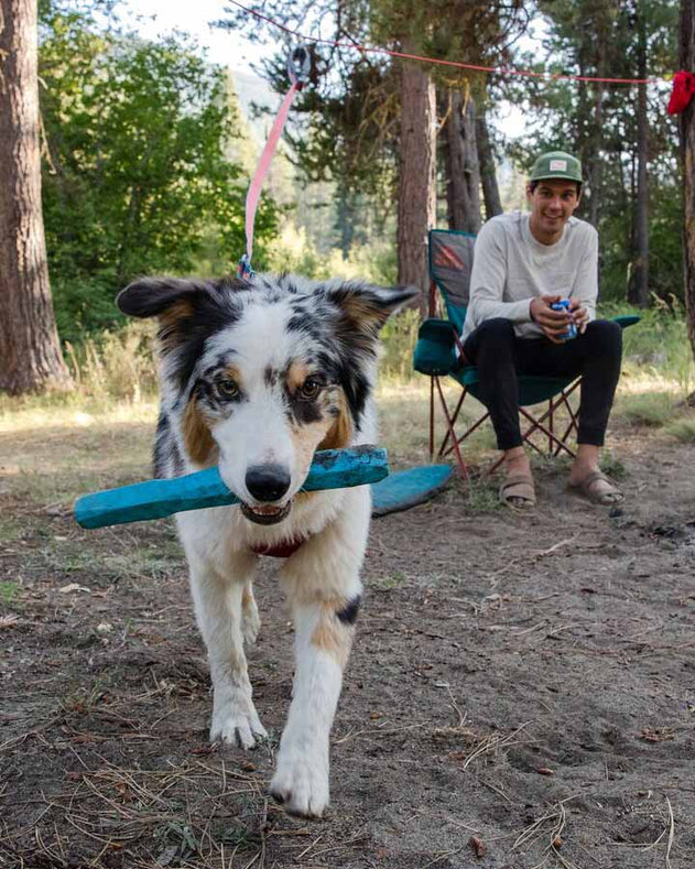 Ruffwear Gnawt-a-stick - Red Sumac