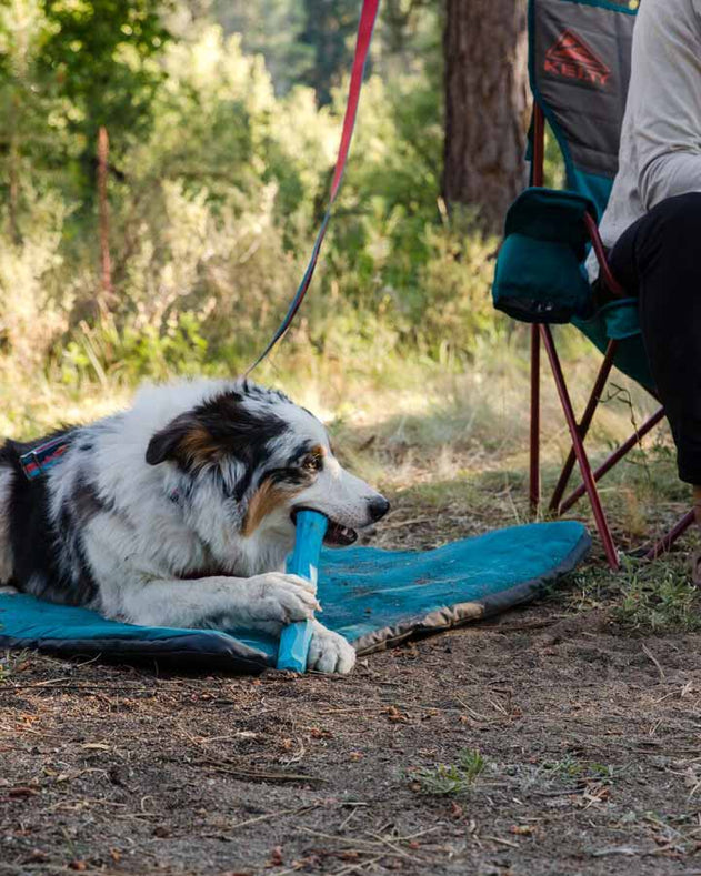 Ruffwear Gnawt-a-stick - Red Sumac
