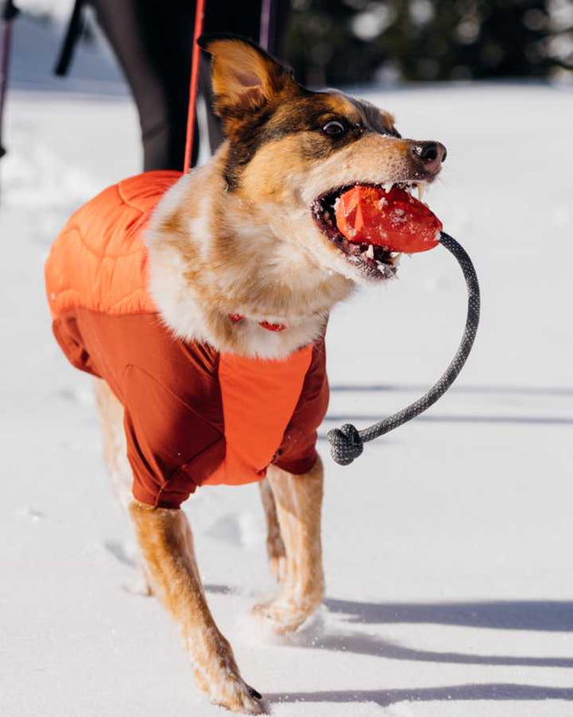 Ruffwear Huck-a-Cone - Red Sumac