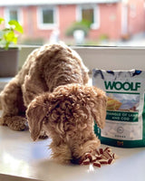 Woolf Lamb & Cod Triangle - Lam og torsk - Woolf - Petlux