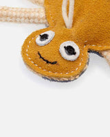 Edderkoppe legetøj til hunde