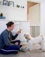 DogSpace lucky hundegitter sort