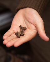 Essential Mini Godbidder