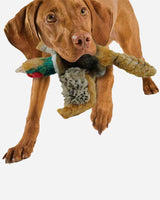 All For Paws Hundelegetøj - Fasan