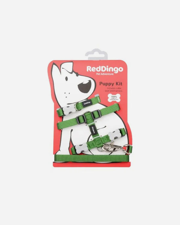 Hvalpesæt - Red Dingo - Grøn