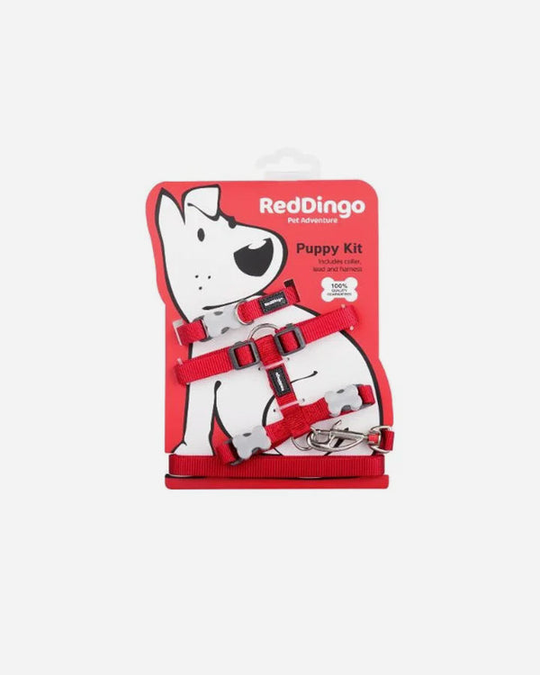 Hvalpesæt - Red Dingo - Rød