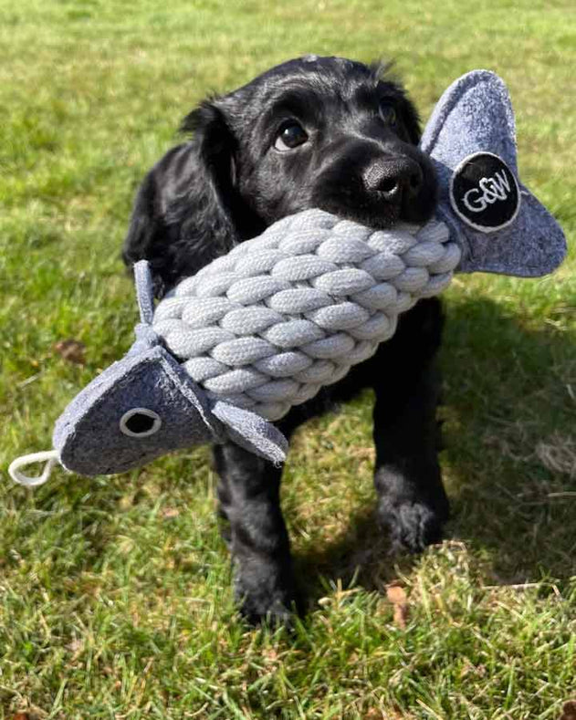 Green & Wild's Reb legetøj til hunde