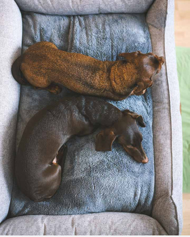 Swaggin Tails Sömnig hundeseng - Space Grey