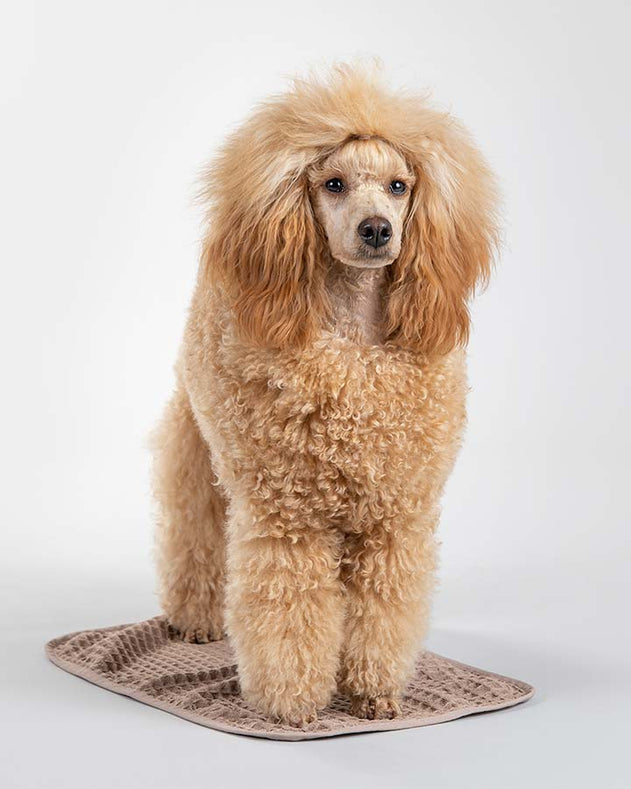 Paikka Drying Towel - håndklæde til små hunde - Taupe