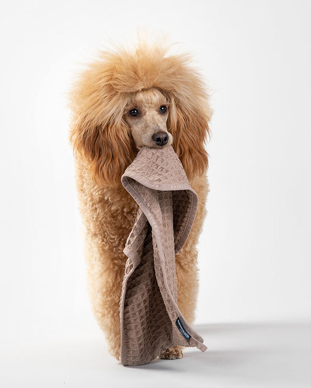 Paikka Drying Towel - håndklæde til små hunde - Taupe
