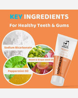 Tandpastaen til hunde indeholder naturlige ingredienser som aloe vera og pebermynte til at give friske ånde