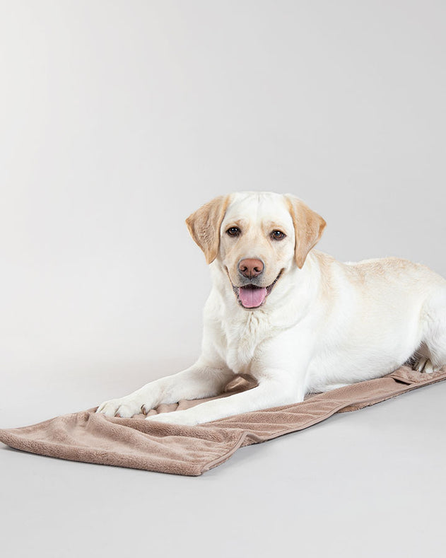 Paikka Drying Towel - Taupe