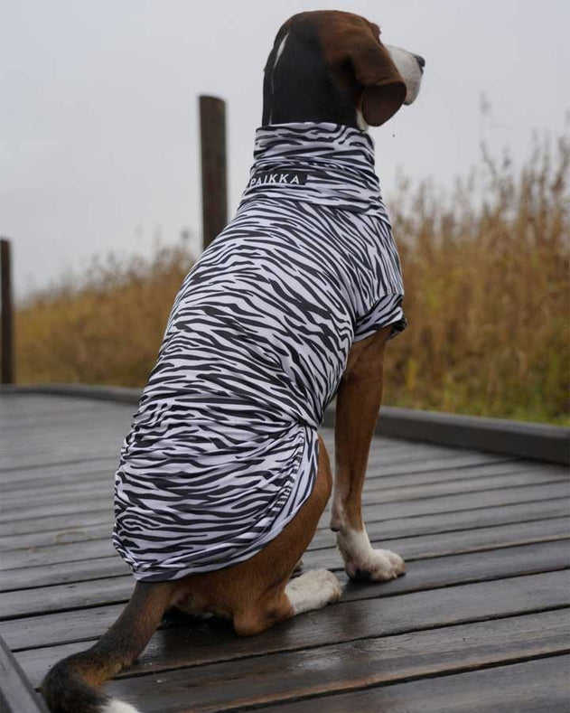 Paikka UV & Bug shirt til hunde