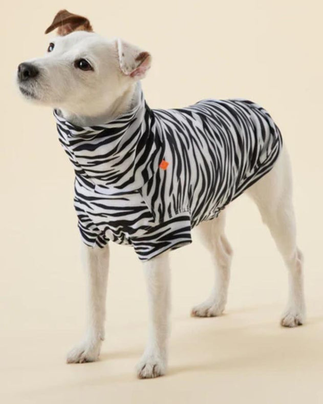 UV & Bug shirt til alle størrelser hunde