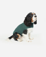 Grøn strikket hundesweater fra Fashion Dog - art.  - Fashion Dog - Petlux