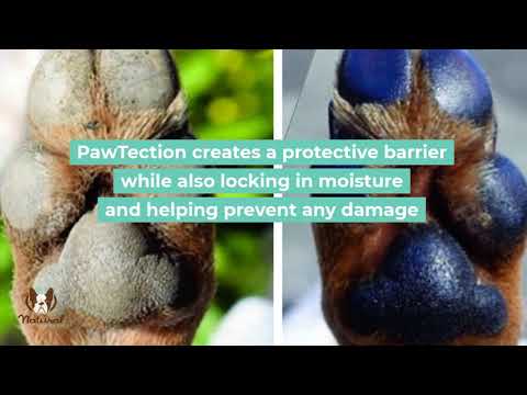 PawTection - Potevoks - Stick - 59 ml - Natural Dog Company - Petlux