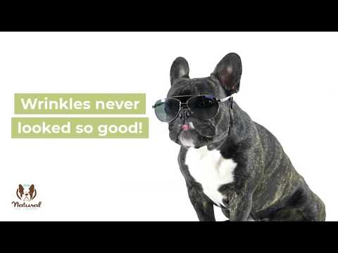 Wrinkle balm til hudfolder - Dåse - 59 ml - Natural Dog Company - Petlux
