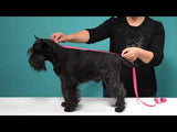 Grå strikket hundesweater fra Fashion Dog (art.303 - Fashion Dog - Petlux
