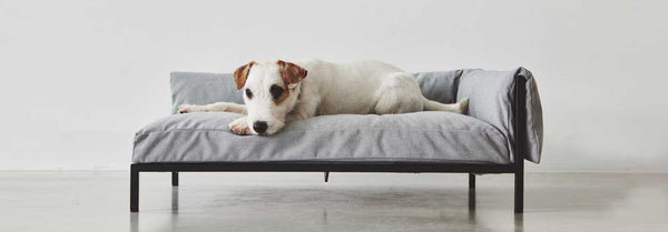 Giv din hund et trygt sted at sove - Petlux