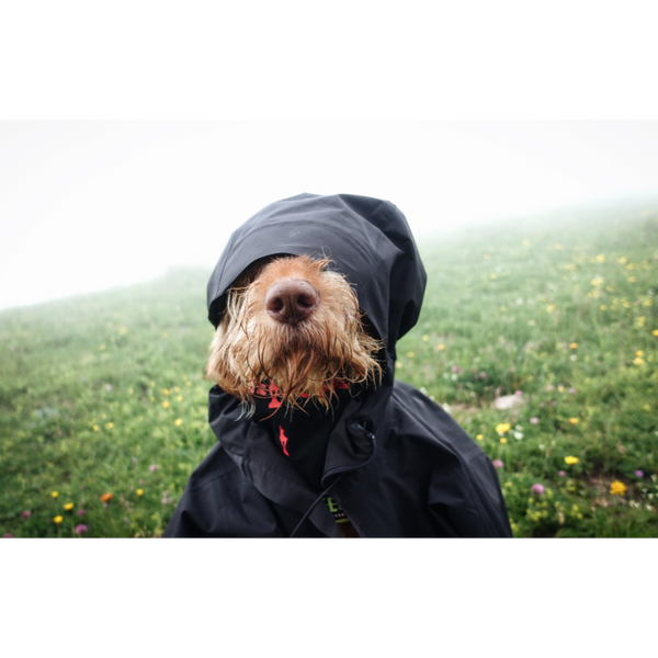 Størrelsesguide - Jakker og strik til din hund