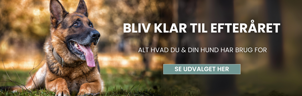 Efterår_hundeudstyr