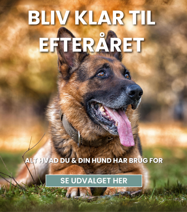 Efterår_hundeudstyr