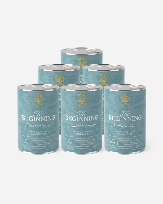 Essential The Beginning Paté - Nautical Edition (6x400g)