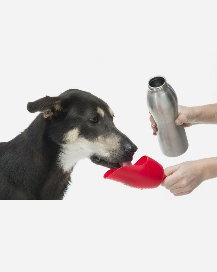 Kong H2O vandflaske til hunde