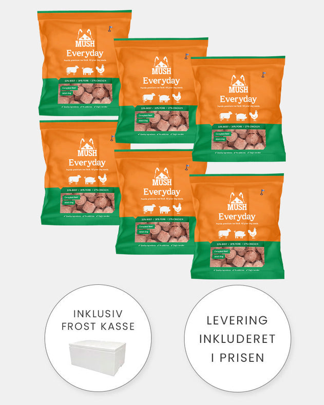 MUSH Everyday Grøn XL - Starter med Gris, Okse og Kylling - 6x3kg
