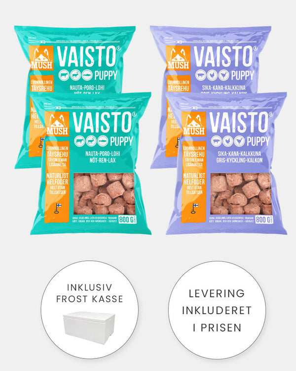 MUSH Hvalp - Startpakke - Nem Start på Barf - 4x800g (2 x IceBlue - 2 x LysLilla)