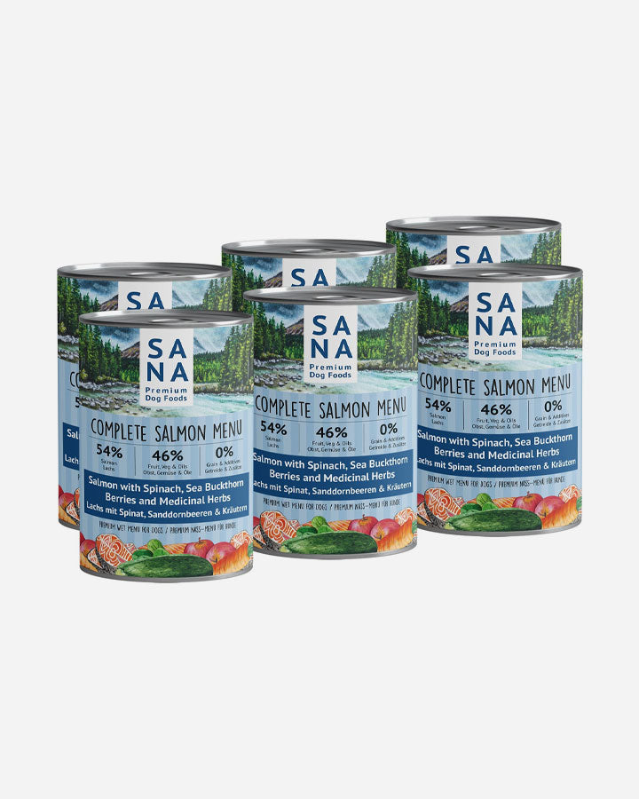 SANA vådfoder med Laks (6x400g)