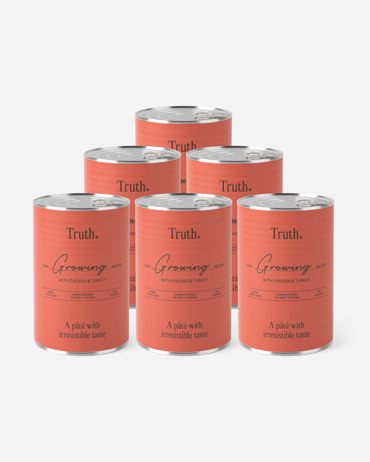 Truth Growing Paté - til hvalpe - Kylling & Kalkun (6x400g)