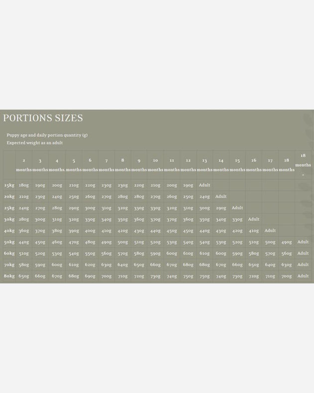 Essential foods hotsell beginning large breed